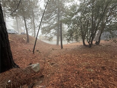 0 Poplar Dr, Running Springs, CA 92382 - photo 5