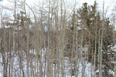 64 Rhea Rd, Como, CO 80432 - photo 2