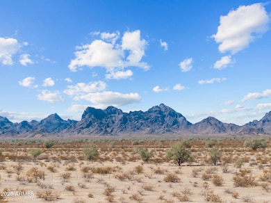 39003 Avenue 41 E, Salome, AZ 85348 - photo 2