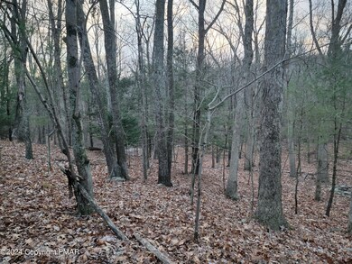 T 508 20 Fawn Rd, East Stroudsburg, PA 18301 - photo 6