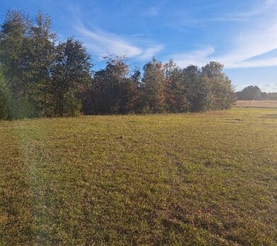 01 Joby Ln unit 4, Eutawville, SC 29048 - photo 2