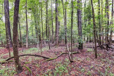 200 Jolly Pond Rd, Williamsburg, VA 23188 - photo 6