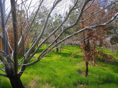 5164 Astoria Ave, Rosamond, CA 93560 - photo 3