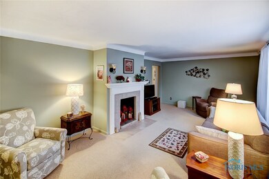 Living Room Fireplace