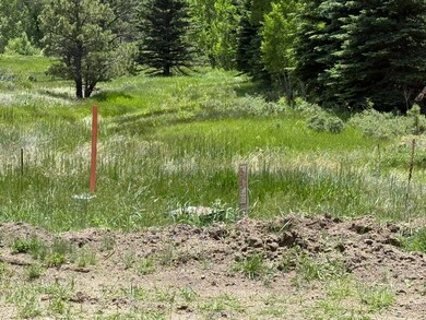 7700 Junkins Park, Westcliffe, CO 81252 - photo 4