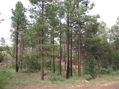 6214 Juniper Ridge, Show Low, AZ 85901 - photo 6