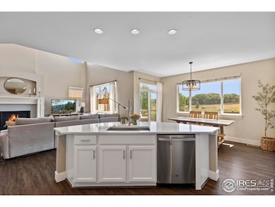 2289 Stonefish Dr, Windsor, CO 80550 - photo 4