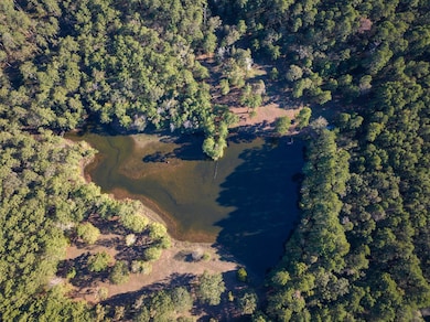 000 Big Woods Rd, New Waverly, TX 77358 - photo 3