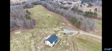 2465 Alabama 179, Altoona, AL 35952 - photo 3