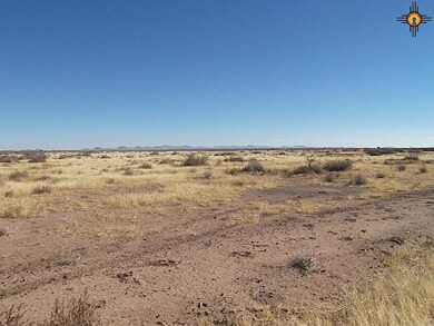 0 Dr Unit 111 Bk 2 T 18-27 unit 20180432, Deming, NM 88030 - photo 7