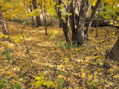 1213 W Park Front St, Joliet, IL 60436 - photo 3