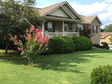 01 - Main 1090603