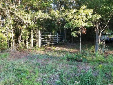 TBD1 State Highway 548, Conway, SC 29527 - photo 6