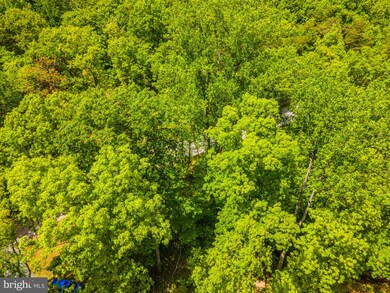 220 Haymaker Rd, Hedgesville, WV 25427 - photo 5