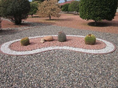 GORGEOUS DESERT LANDSCAPING