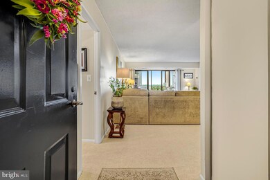 Montebello unit 1509, Alexandria, VA 22303 - photo 3