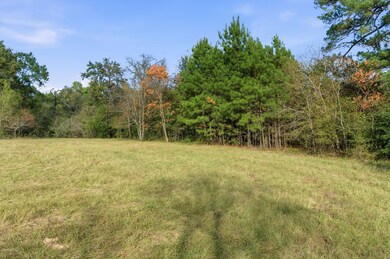 TBD County Road 204, Plantersville, TX 77363 - photo 7