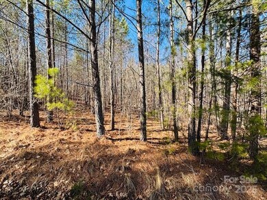 0 Creekside Cir unit 110 CAR4219289, Rutherfordton, NC 28139 - photo 6