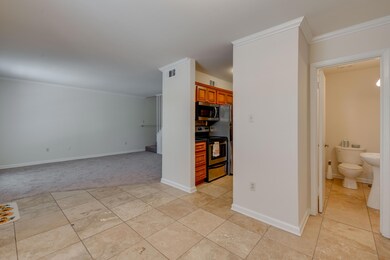 D85_4074