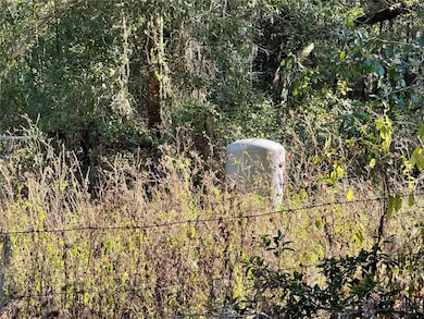 17901 NE 18th Ave, Citra, FL 32113 - photo 3