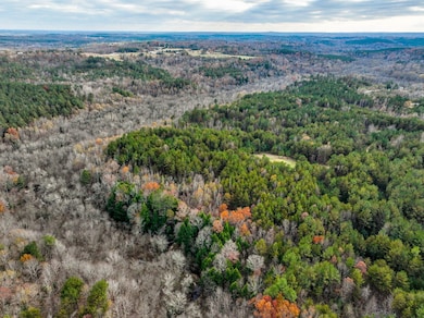 85 County Road 3217, Haleyville, AL 35565 - photo 6