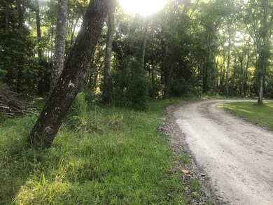 9 2nd Ave NE, Steinhatchee, FL 32359 - photo 5