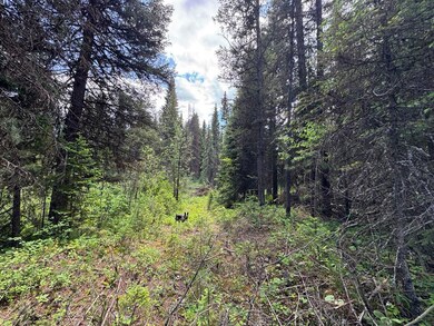 768 Deep Woods Trail, Polebridge, MT 59928 - photo 4