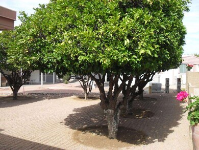 5832 E Montara Place, Mesa, AZ 85215 - photo 6