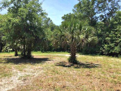 XX Wakulla Beach Rd, Crawfordville, FL 32327 - photo 2