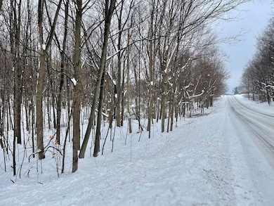 VL W Grant Rd, Shelby, MI 49455 - photo 5