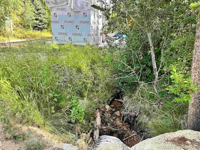 TBD Bemos Gulch St, Warren, ID 83671 - photo 3