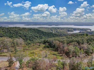 215 Wilson Rd, Scottsboro, AL 35769 - photo 5