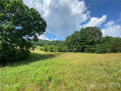 99999 Tweed Rd, Leicester, NC 28748 - photo 2