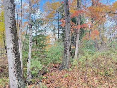 2117 Route 666, Sheffield, PA 16347 - photo 3