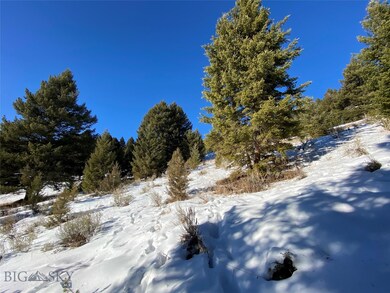 2 Two Gun White Calf, Big Sky, MT 59716 - photo 5