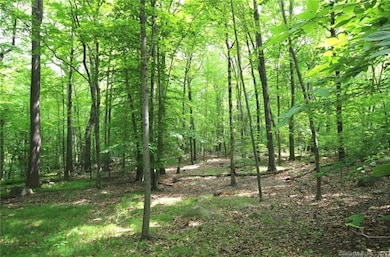 0 Mountain Rd, Wilton, CT 06897 - photo 2