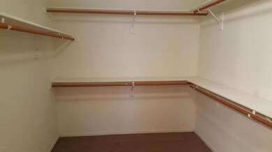 Master Walk in Closet