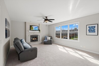 4832 Fesseneva Ln, Naperville, IL 60564 - photo 7