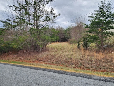 9 and 9A Industry Blvd, Rocky Mount, VA 24151 - photo 3