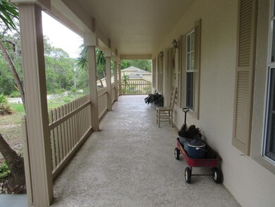 PORCH VINES 1