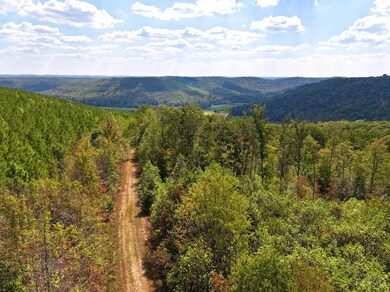 0 St Rt 348 unit 1855893, Jefferson Township, OH 45657 - photo 4