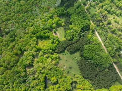 80 E 24th St, Pinora Township, MI 49677 - photo 4