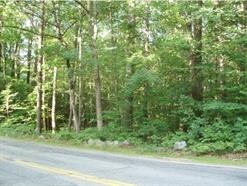 0 River Rd unit 4672950, Plymouth, NH 03264 - photo 4