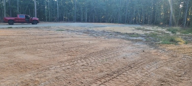 12288 Bloomville Rd, Manning, SC 29102 - photo 4