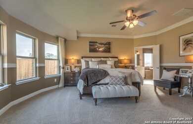 10813 Tansy Canyon, Helotes, TX 78023 - photo 7