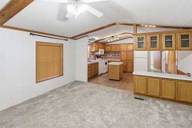 306 N Moseley Rd, Colcord, OK 74338 - photo 5