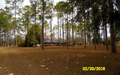 2929 SW Wilson Springs Rd, Fort White, FL 32038 - photo 2