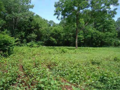 376 W Maple St, Corinth, NY 12822 - photo 4