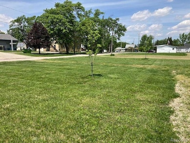 TBD First, Minden City Vlg, MI 48456 - photo 3