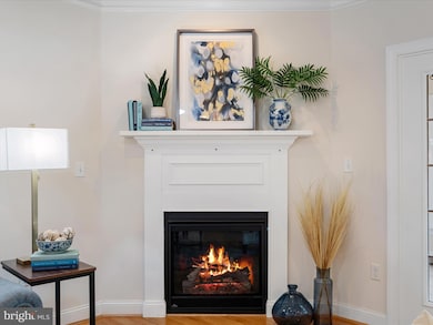 280 Plow Run Ln, Winchester, VA 22602 - photo 6